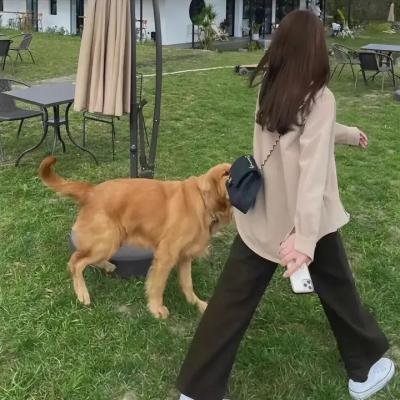 柯林·奎恩:红州蓝州